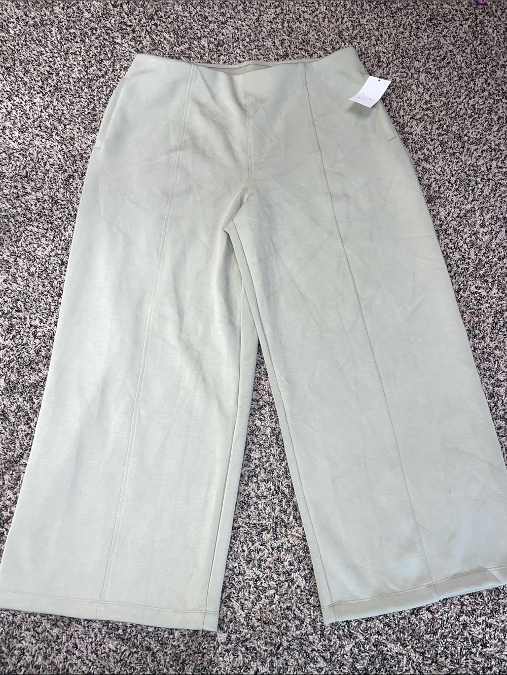 a new day Wide-Leg Pull On Elastic Waist Dress Pants in Sage Green XXL Short NWT
